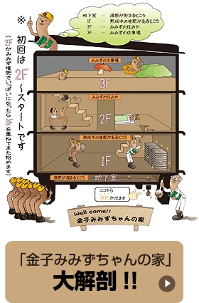 ミミズコンポスト「金子みみずちゃんの家」大解剖