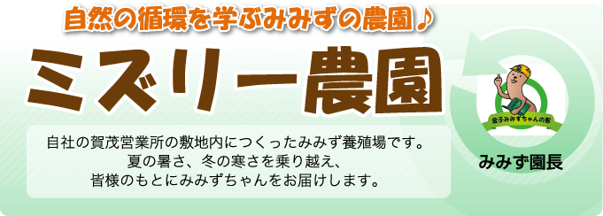 ミズリー農園 自社の賀茂営業所の敷地内につくったみみず養殖場です。