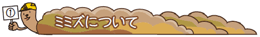 ミミズについて